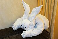 IMG 4719