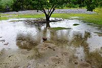 P1130096