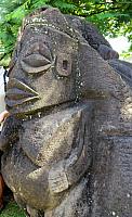 IMG 4401