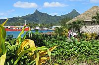 IMG 4418