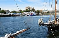 IMG 5145