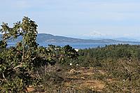 IMG 5203