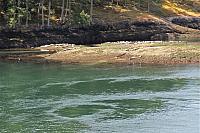 IMG 5217