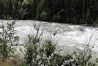 IMG 5233