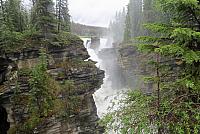 IMG 5323
