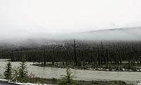 IMG 5345