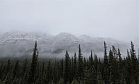 IMG 5347