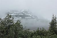 IMG 5365