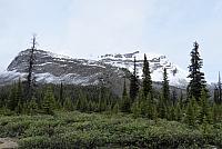 IMG 5396