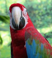 IMG 5509