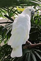 IMG 5525
