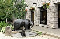 IMG 5591