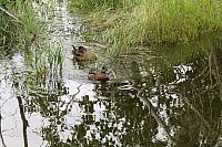IMG 5703