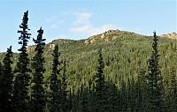 IMG 5794