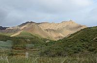 IMG 5852
