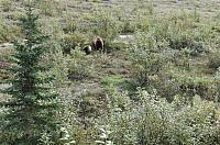 IMG 5886