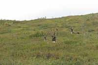 IMG 5895