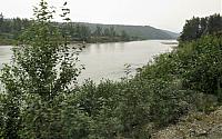 IMG 5955