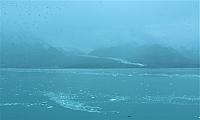 IMG 6039