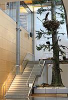 IMG 6041