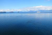 IMG 6091