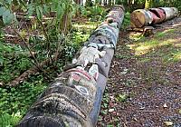 IMG 6106