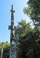 IMG 6110