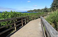 IMG 6122