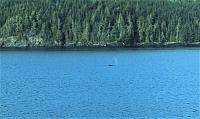 IMG 6172