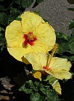 IMG 6469