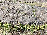 IMG 6493