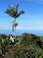 IMG 6517