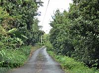 IMG 6528