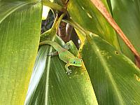 IMG 8256