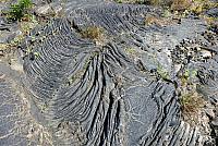 P1130316
