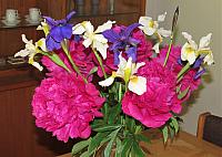 IMG 7025 (2)