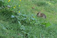 IMG 7032 (2)