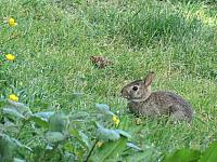 IMG 7033 (2)