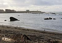 IMG 7178