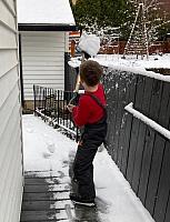 IMG 0431