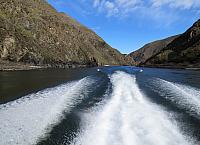 IMG 7391 (2)