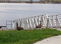 IMG 7511