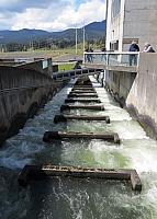 IMG 7545