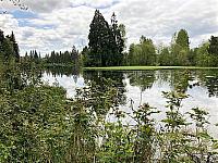 IMG 0454