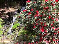 IMG 0470