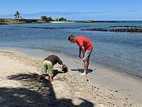 IMG 7718