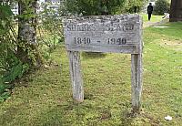 IMG 7909-01