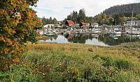 IMG 7914