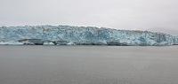 IMG 7981