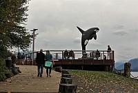 IMG 7995